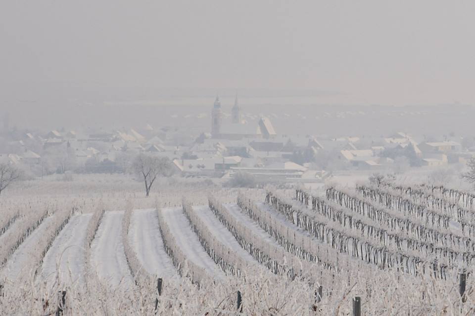 Winter Freistadt Rust Winter Freistadt Rust